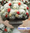 /album/composizione-floreali/a1234979-586874908017899-977999029-n-jpg/